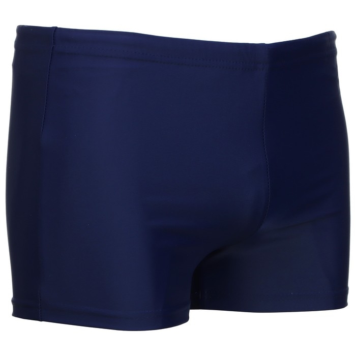 Плавки для плавания ONLYTOP, р. 52, цвет синий Плавки для плавания ONLYTOP, р. 52, цвет синий