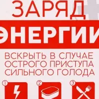 Ланч - бокс &laquo;Заряд энергии&raquo;, 1200 мл