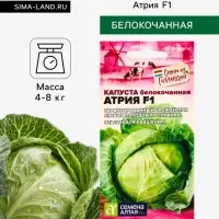 Семена Капуста белокочанная &laquo;Атрия&raquo; F1, 10 шт. &laquo;Семена Алтая&raquo;
