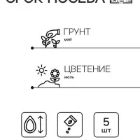 Семена Овсяница сизая Лазурит Мн Золотая серия Ц/П 5шт Семена Овсяница сизая Лазурит Мн Золотая серия Ц/П 5шт