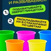 Набор для сортировки &laquo;Сортер - стаканчики. Животные - растушки&raquo;, с пинцетом, по методике Монтессори