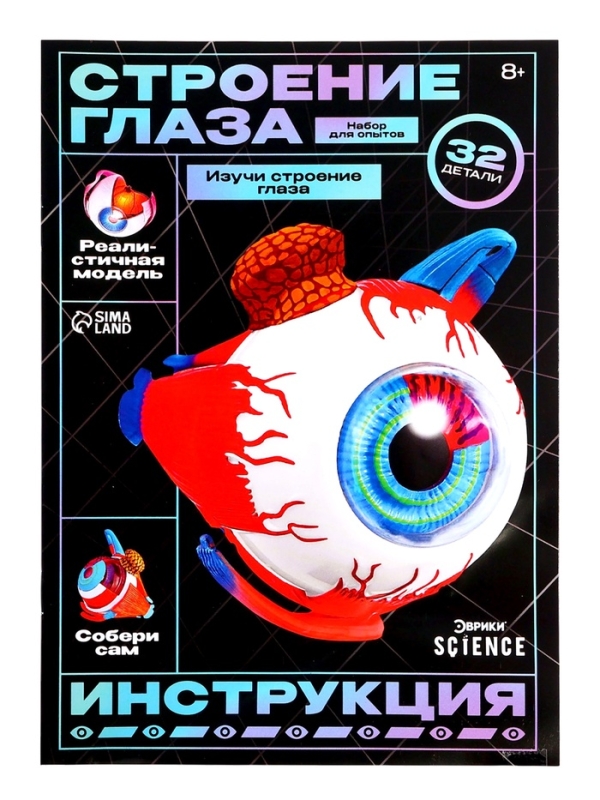 ЭВРИКИ Набор для опытов "Строение глаза", анатомическая модель