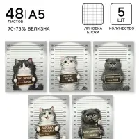 Тетрадь 5 штук, 48 листов в клетку Calligrata &laquo;Коты хулиганы&raquo;, серые листы, блок №2, 5 видов