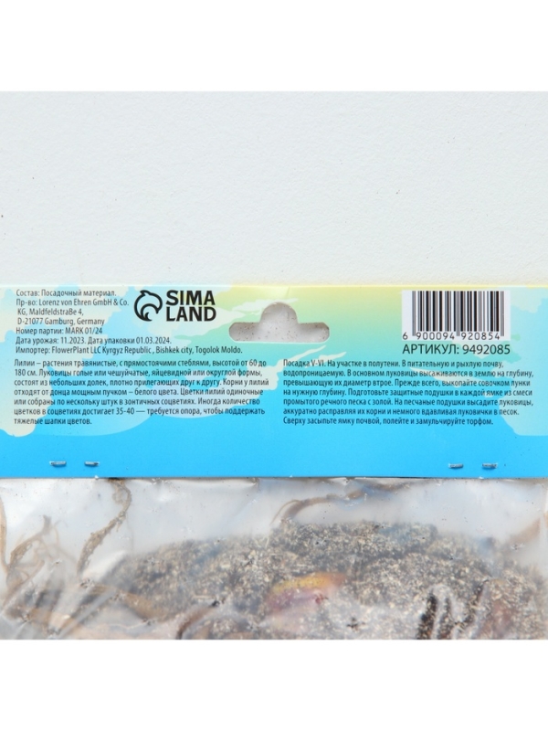 Лилии Трубчатые смотрящие вверх Yellow Planet, луковица в пакете с перфорацией, р-р 12/14, 2 шт.