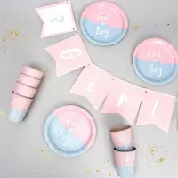 Посуда бумажная одноразовая на гендер-пати &laquo;Мальчик /Девочка&raquo;