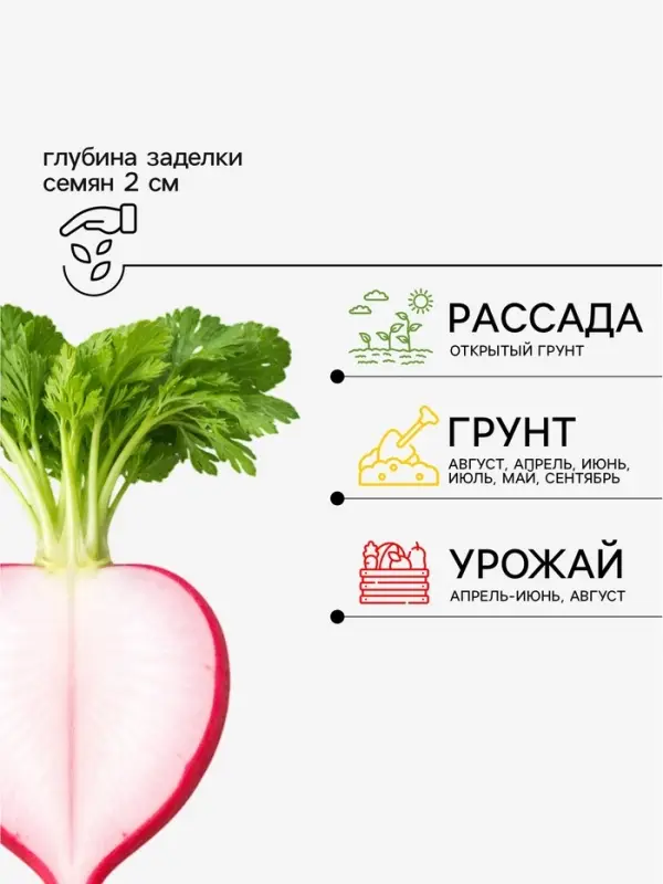 Семена Редис &laquo;16 дней&raquo;, 2 г, &laquo;Агрофирма АЭЛИТА&raquo;