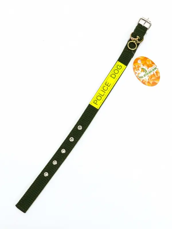 Ошейник двухслойный с вертлюгом, 2.5 см, зелёный