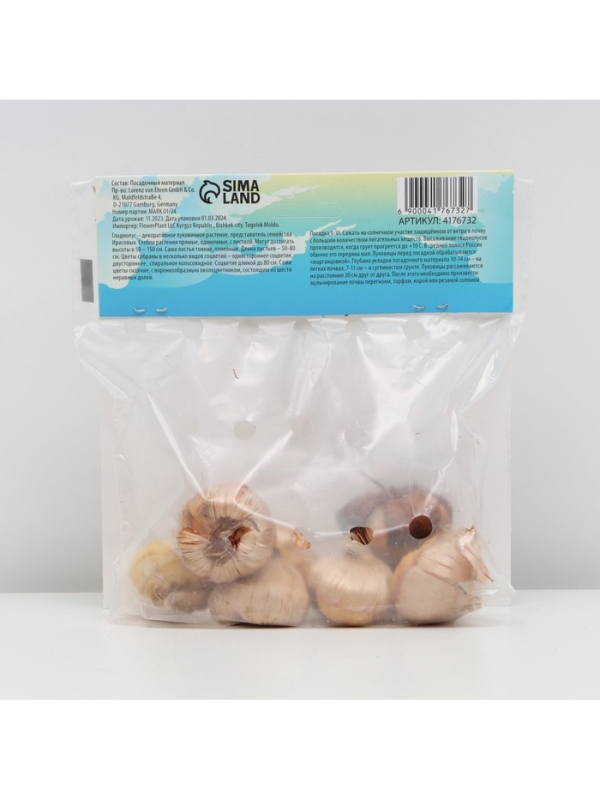 Гладиолус Низкорослый "Лас-Вегас", луковица цветов в пакете с перфорацией, р-р 10+, 7 шт.