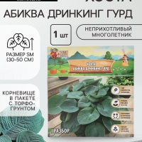 Хоста «Абиква Дринкинг Гурд», корневище в пакете с торфогрунтом, р-р I, 1 шт.