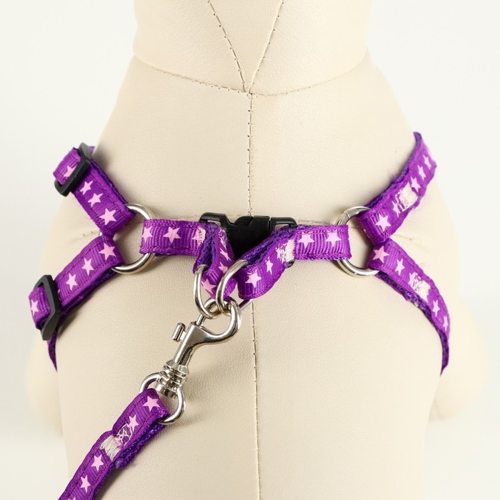 Комплект амуниции Комплект амуниции "Звёзды", ширина 1 см, поводок 120 см, шлейка 26-38 см, фиолетовый