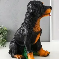 Копилка "Ротвейлер", 37,5х23,5х29 см Копилка "Ротвейлер", 37,5х23,5х29 см