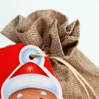 Набор мешков «С праздником!», 20 × 30 см Набор мешков «С праздником!», 20 × 30 см