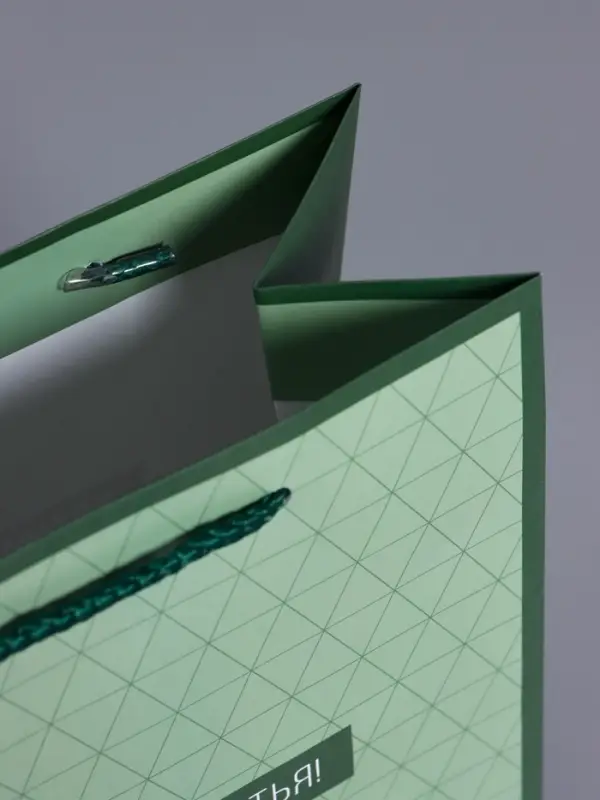 Пакет подарочный "Минимализм в деталях" ламинированный 18 х 22,3 х 10 см