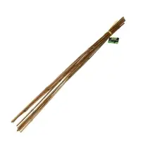 Колышек для подвязки растений, h=90 см, d=8-10 мм, бамбук, Greengo