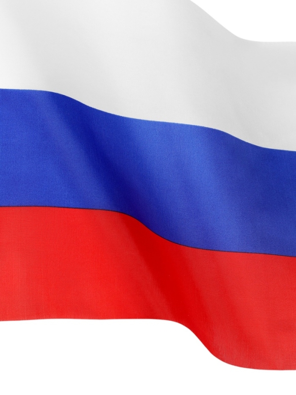 Флаг России, 40 х 60 см, шток 60 см, полиэфирный шёлк, набор 12 шт Флаг России, 40 х 60 см, шток 60 см, полиэфирный шёлк, набор 12 шт