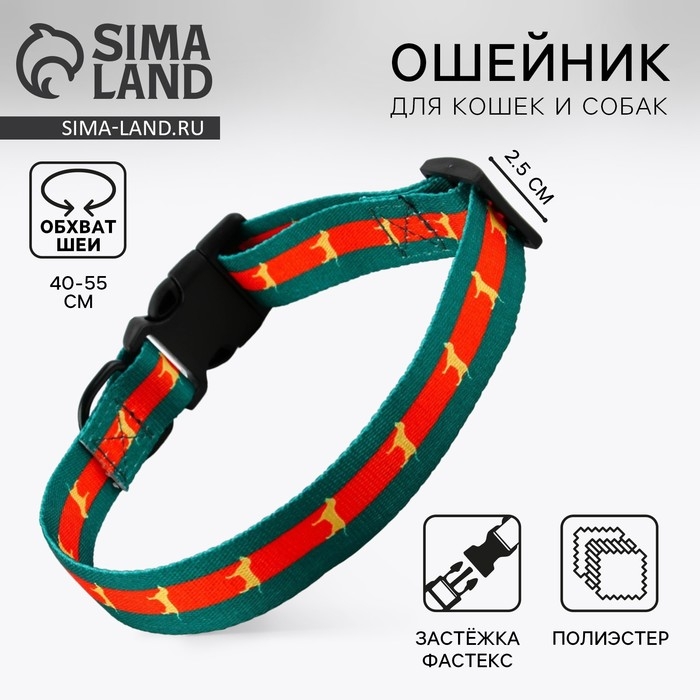 Ошейник «На стиле», застёжка - фастекс, 2.5 см, 40-55 см Ошейник «На стиле», застёжка - фастекс, 2.5 см, 40-55 см