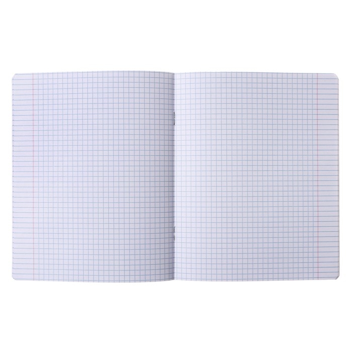 Тетрадь 48 листов в клетку "Дело в шляпе", обложка мелованный картон, софт-тач лам, блок 60г/м2, МИКС