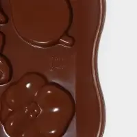 Форма для шоколада Доляна &laquo;Цветение&raquo;, силикон, 21&times;10.5&times;0.7 см, 12 ячеек, коричневая