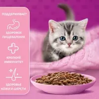 Влажный корм Whiskas для котят, рагу ягненок, 75 г