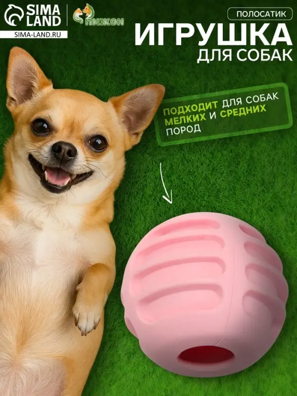 Мяч для собак &laquo;Полосатик&raquo;, 6 см, рифлёный, TPR, розовый