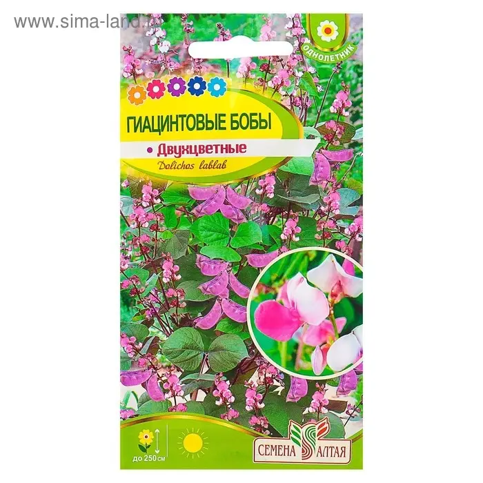 Семена цветов Гиацинтовые бобы  Семена цветов Гиацинтовые бобы "Двухцветные", ц/п,  О, ц/п, 1 г