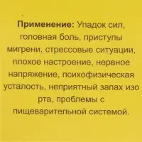 Мазь &laquo;Монастырская Феодосия Кавказского&raquo; от головной боли, "Бизорюк", 25 мл