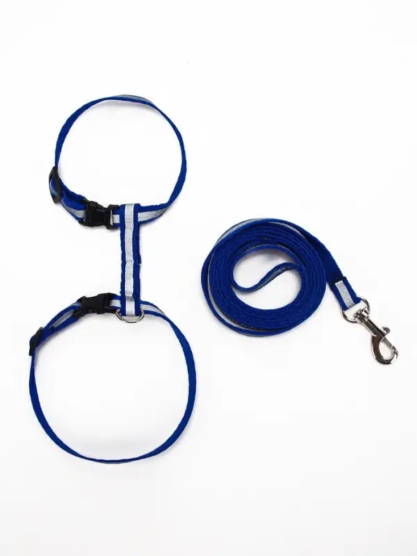 Комплект для кошек, шлейка 21-35 см, ширина 1 см, поводок 120 см, светоотражающий, синий