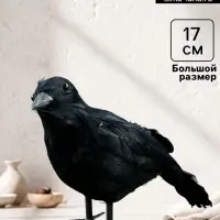Фигурка TAKE IT EASY &laquo;Ворон&raquo;, 27&times;8&times;17 см
