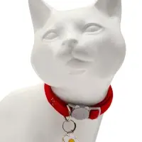 Набор ошейников для кошек, серый, красный