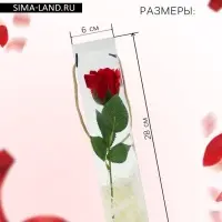 Мыльная роза бордо в коробке