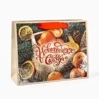 Пакет подарочный новогодний бумажный, &laquo;Новогодняя сказка&raquo;, 24&times;20&times;11 см