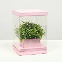 Коробка для цветов с вазой и PVC окнами складная, розовый, 16&times;23&times;16 см