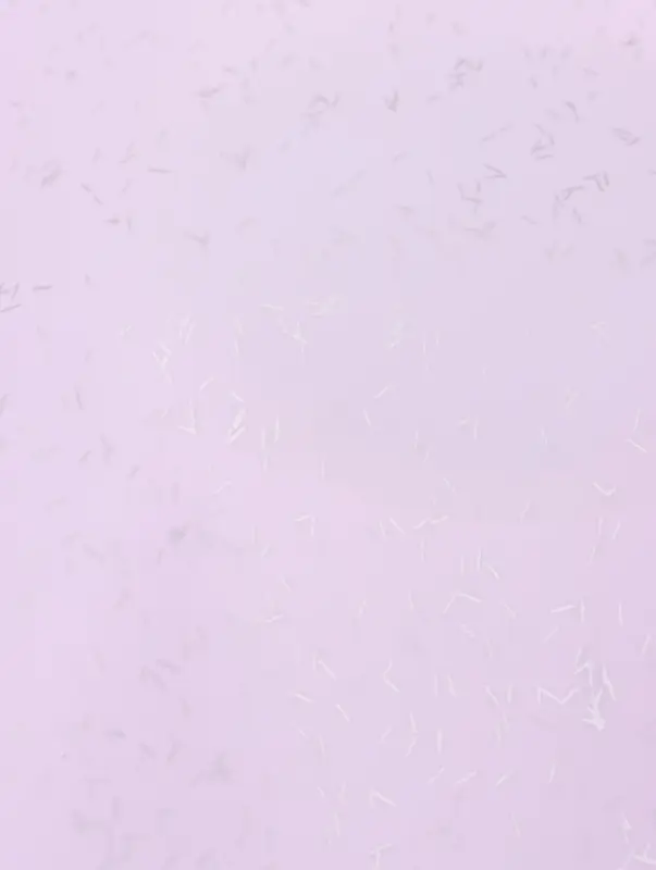 Пленка для цветов &laquo;Звездная ночь&raquo;, светло голубой, 0.57&times;5 м &plusmn;5% см