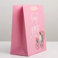 Пакет подарочный ламинированный, упаковка, &laquo;Have a nice day&raquo;, MS 18&times;23&times;10 см