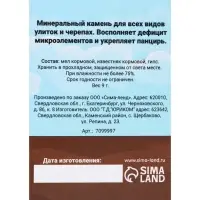 Минеральный камень "Пижон" для черепах и улиток, ракушка, 9 г