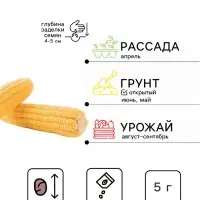 Семена Кукуруза &laquo;Медовая Принцесса&raquo;, 5 г, ранняя, &laquo;Золотая Сотка Алтая&raquo;