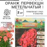 Флокс «Оранж Перфекшн» метельчатый, корневище в пакете с торфогрунтом, р-р I, 2 шт.