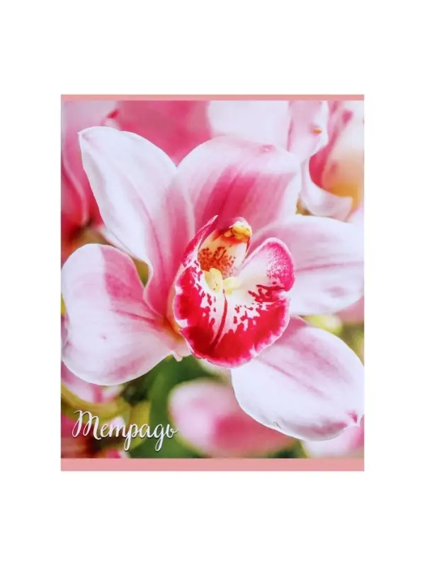 Тетрадь 96 листов в клетку &laquo;Цветы&raquo;, серые листы, МИКС