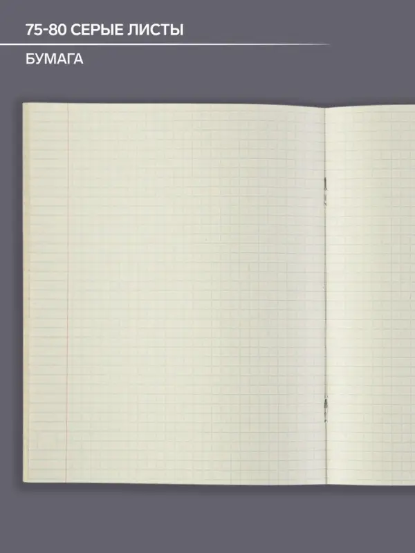 Тетрадь предметная 48 листов в клетку Calligrata, &laquo;Чёрное-белое. История&raquo;, обложка мелованная бумага, серые листы