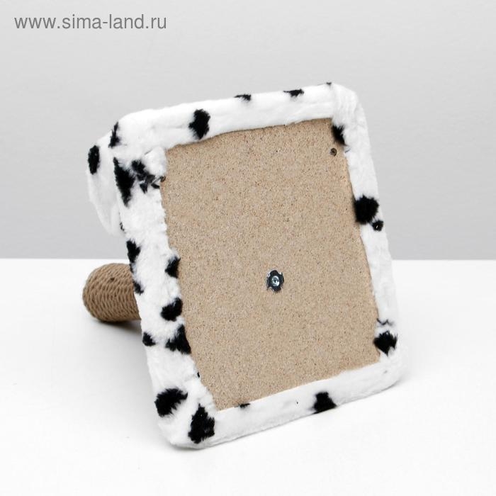 Когтеточка двойная для котят на подставке, джут, 30 х 28 х 32 см, далматинец Когтеточка двойная для котят на подставке, джут, 30 х 28 х 32 см, далматинец