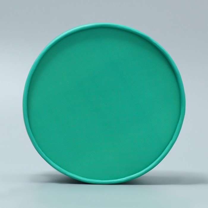 Коробка подарочная, упаковка, «Мята», 13 х 9 см Коробка подарочная, упаковка, «Мята», 13 х 9 см