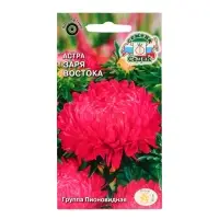 Семена цветов Астра "Заря Востока", Евро, 0,2 г