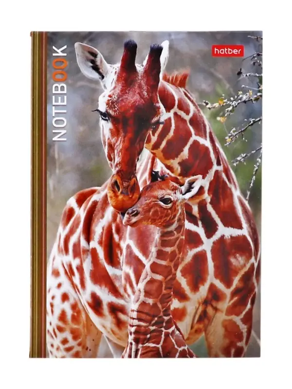 Блокнот А6 24 листа в клетку, на скобе &laquo;В мире животных&raquo;, МИКС