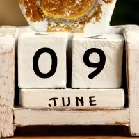 Календарь настольный «Ракушка», 10×7×5.4 см, дерево, белый Календарь настольный «Ракушка», 10×7×5.4 см, дерево, белый