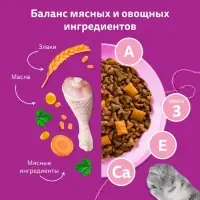 Сухой корм Whiskas для котят, индейка/морковь/молоко, подушечки, 350 г