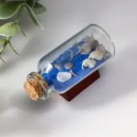 Фигурка &laquo;Сувенир в бутылке. Ракушки&raquo;, 6&times;2.5&times;3.5 см, МИКС