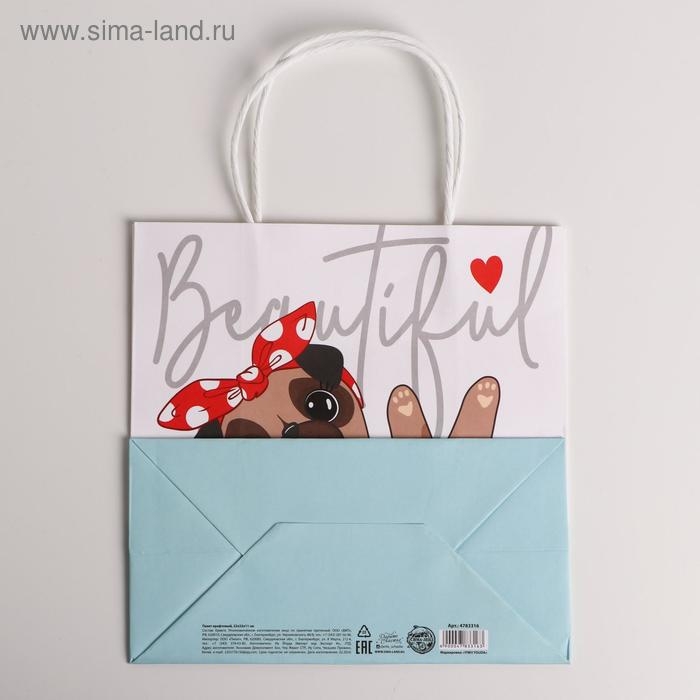 Пакет подарочный крафтовый, упаковка, «Beautiful», 22 х 22 х 11 см Пакет подарочный крафтовый, упаковка, «Beautiful», 22 х 22 х 11 см