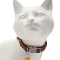 Набор ошейников для кошек, оранжевый, коричневый