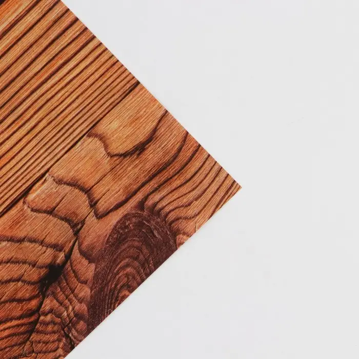 Бумага упаковочная глянцевая двухсторонняя «Дерево», 70 х 100 см