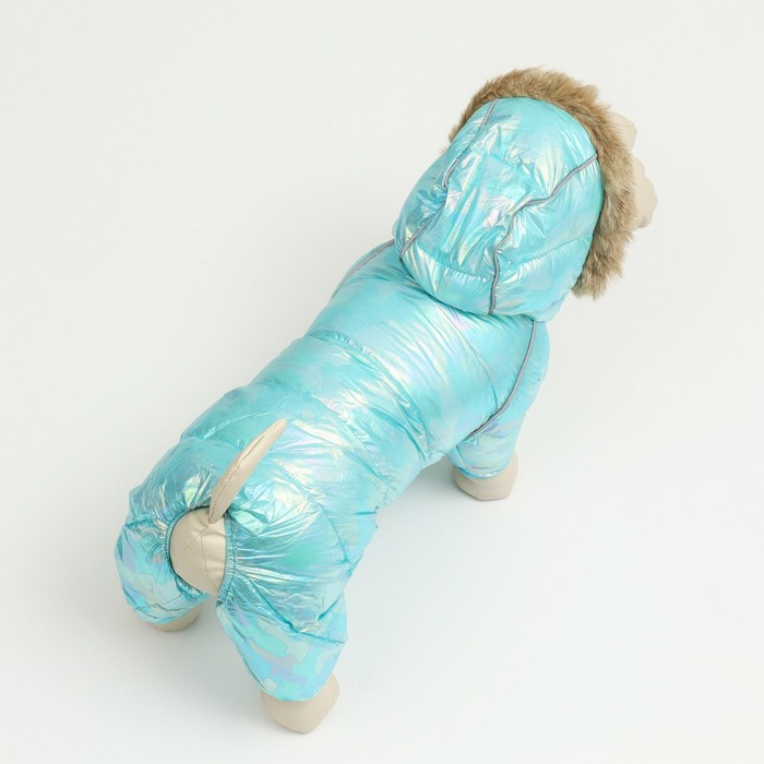 Комбинезон Комбинезон "Глянец", размер 8 (ДС 23, ОГ 30, ОГ 22), голубой